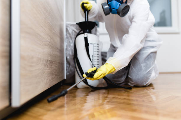 Best Affordable Pest Control Services  in Pheasant Run, OH