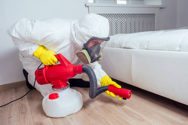 Best Flea Control Services  in Pheasant Run, OH