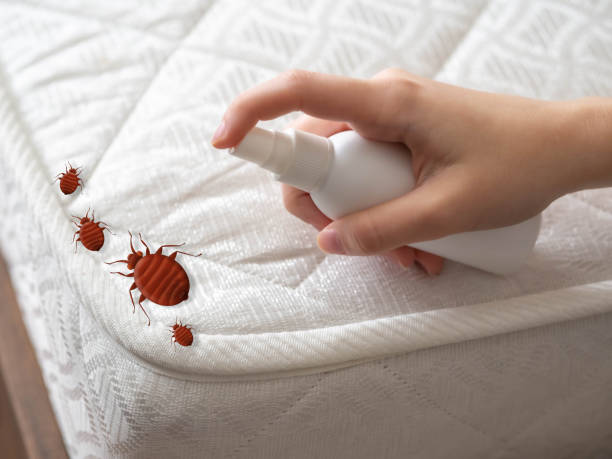 Best Exterminator Services  in Pheasant Run, OH