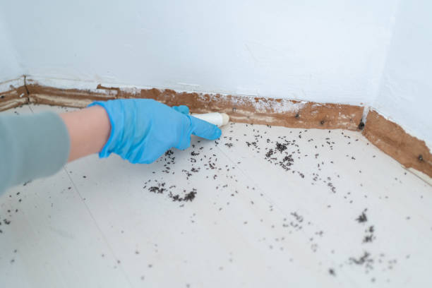 Best Best Pest Control Companies  in Pheasant Run, OH