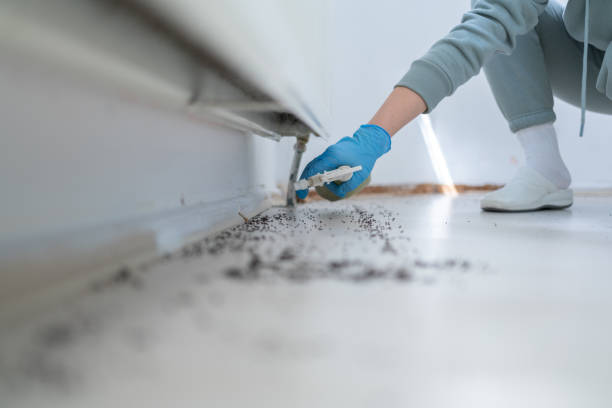 Best Flea Control Services  in Pheasant Run, OH