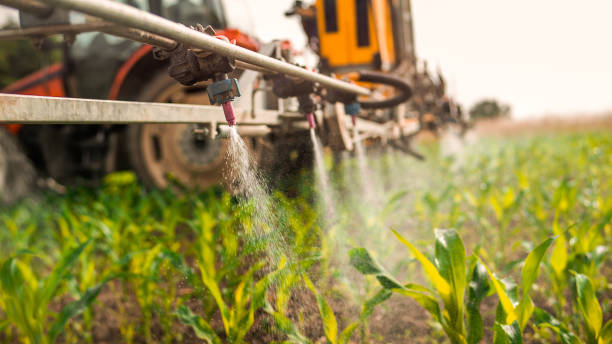 Best Best Pest Control Companies  in Pheasant Run, OH