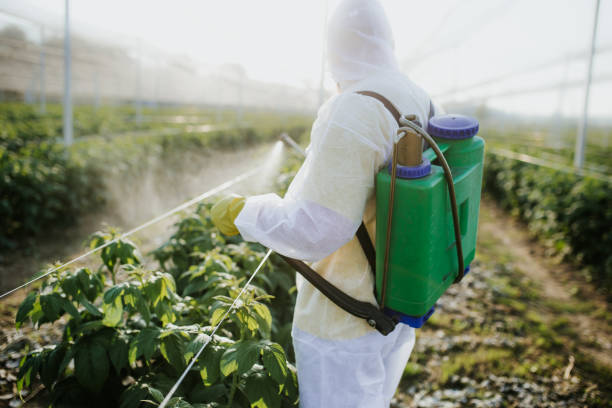 Best Wasp Removal Services  in Pheasant Run, OH